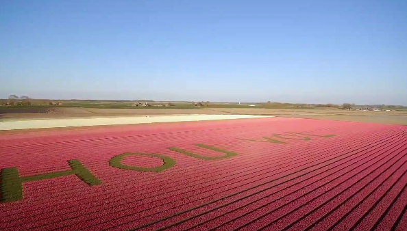 Screenshot_2020-04-24 Tulpenkunstwerk HOU VOL in Noordoostpolder2.1