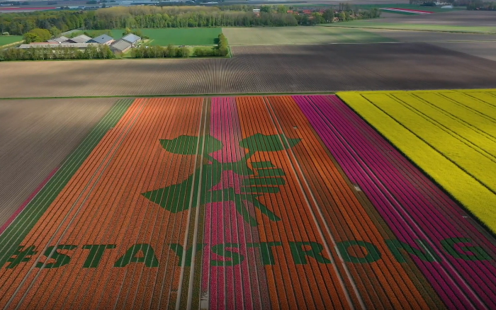 Screenshot_2020-04-26 (1) Amazing tribute to health care workers by Dutch tulip grower - spring 2020 - YouTube.1
